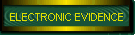 ELECTRONIC EVIDENCE